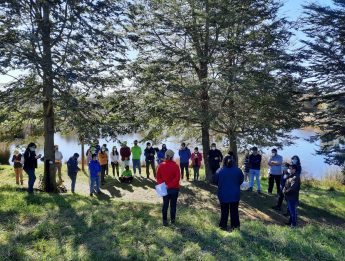 plantación árboles huiscapi