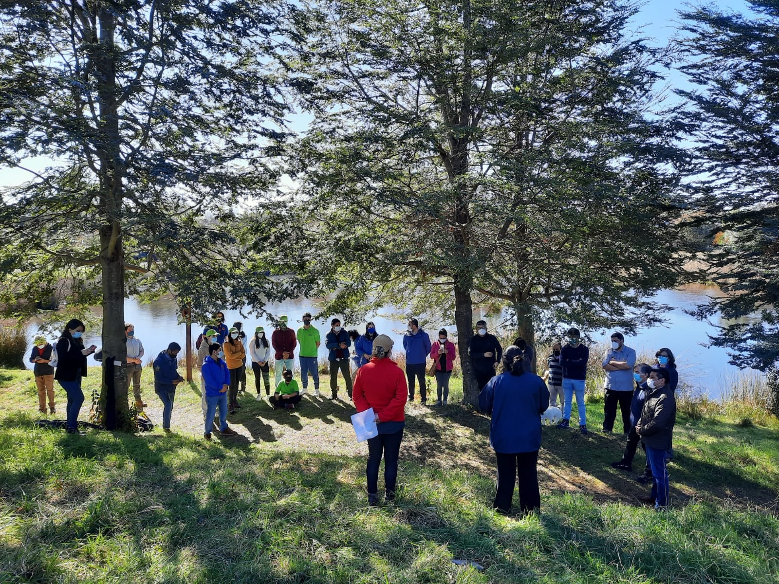 plantación árboles huiscapi